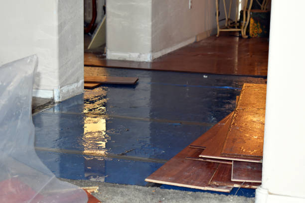 Professional Flood Cleanup technician working in Leonard, TX